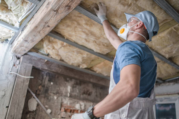 Best Insulation Replacement Services  in Fernandina Beach, FL